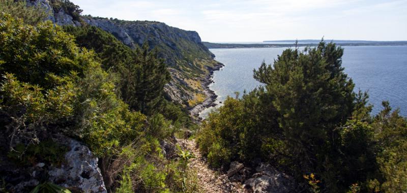 Formentera fotográfica 